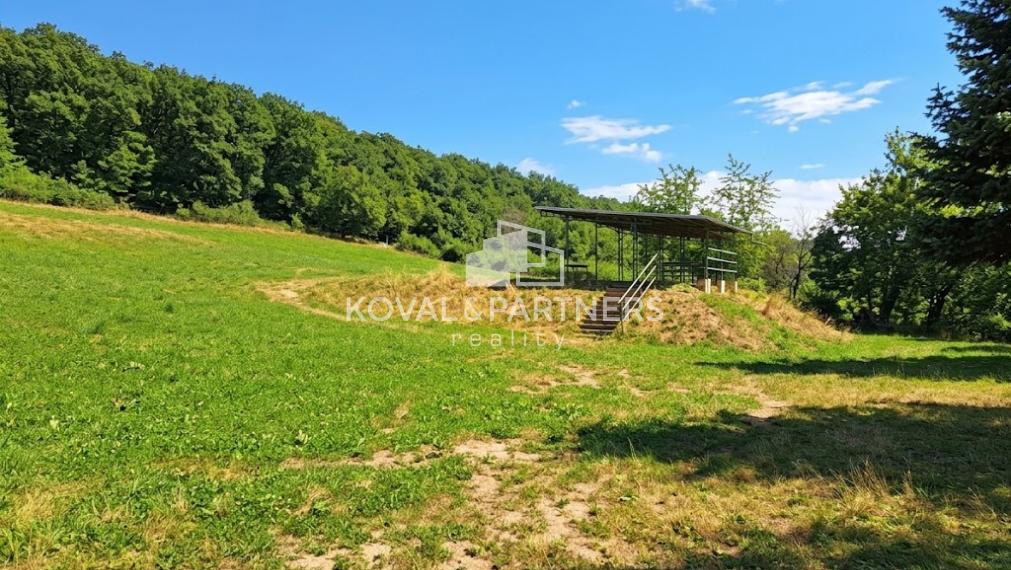 Jedinečný poľovnícky dom s vlastnou strelnicou - Hlohovec