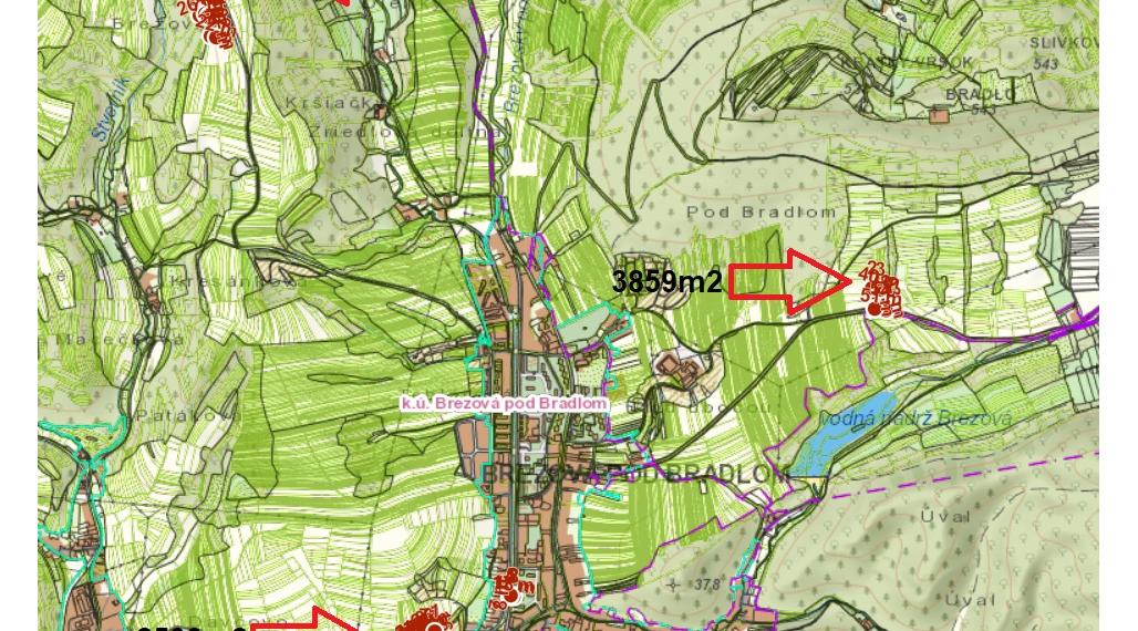Pozemky - OP - 38,5a, 81a, 26a - Brezová pod Bradlom