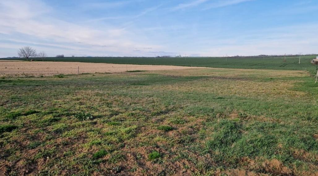 Na predaj INVESTIČNÉ stavebné pozemky v Golianove