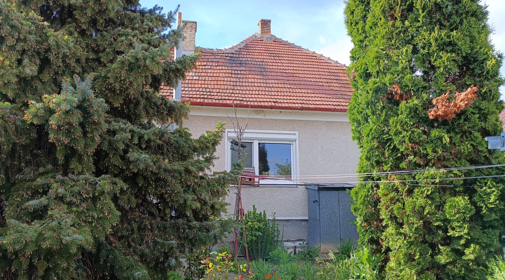 Klasický 3 izbový rodinný dom - Komjatice