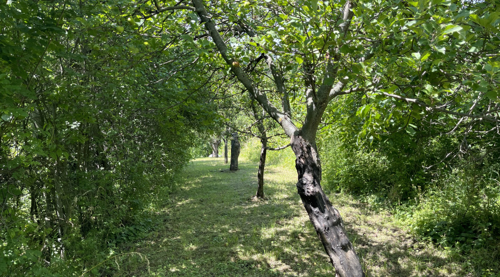 Záhrada s chatkou v Nitre, Dražovce