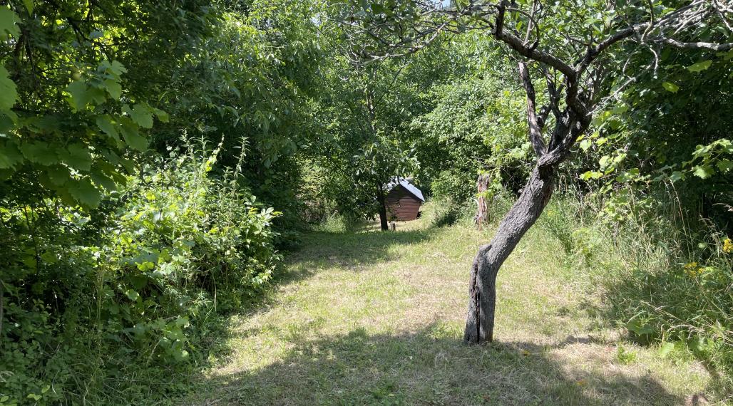 Záhrada s chatkou v Nitre, Dražovce