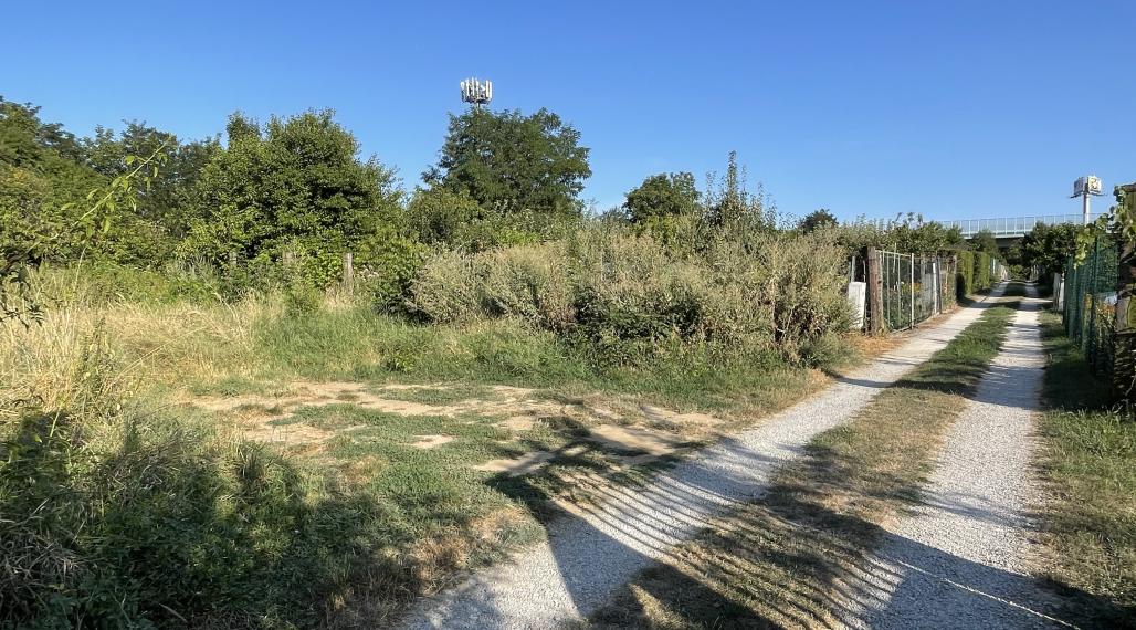 Záhrada v Nitre - v záhradkárskej oblasti