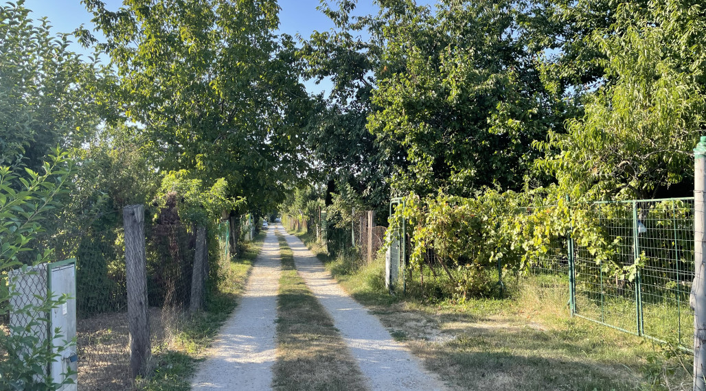 Záhrada v Nitre - v záhradkárskej oblasti