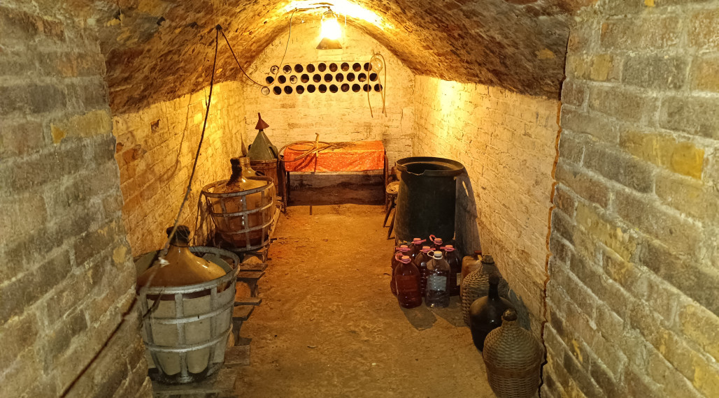 Rodinný dom s veľkým pozemkom - Veľký Kýr