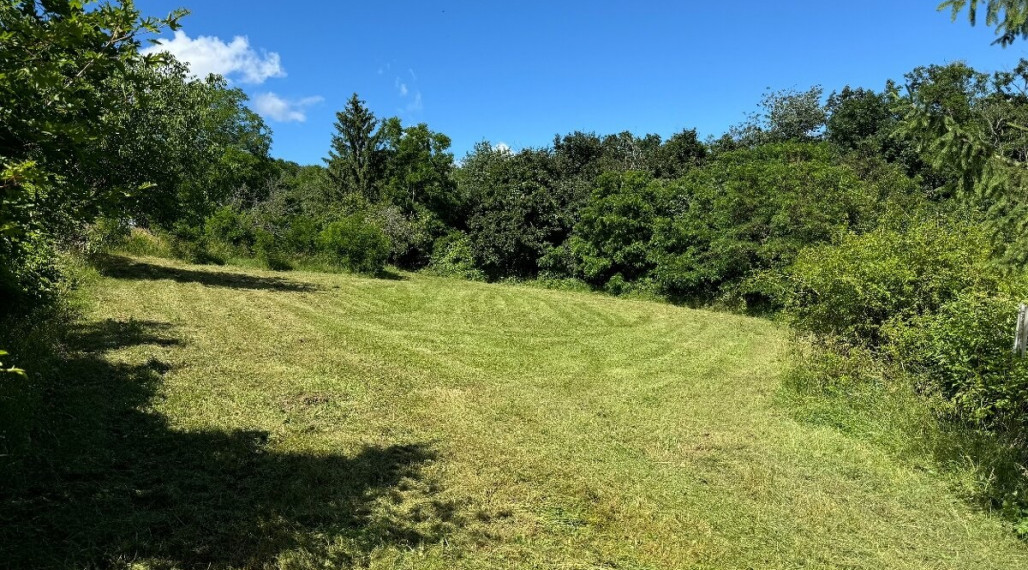 Pekný  pozemok pri lese 1609 m2 - Nitra