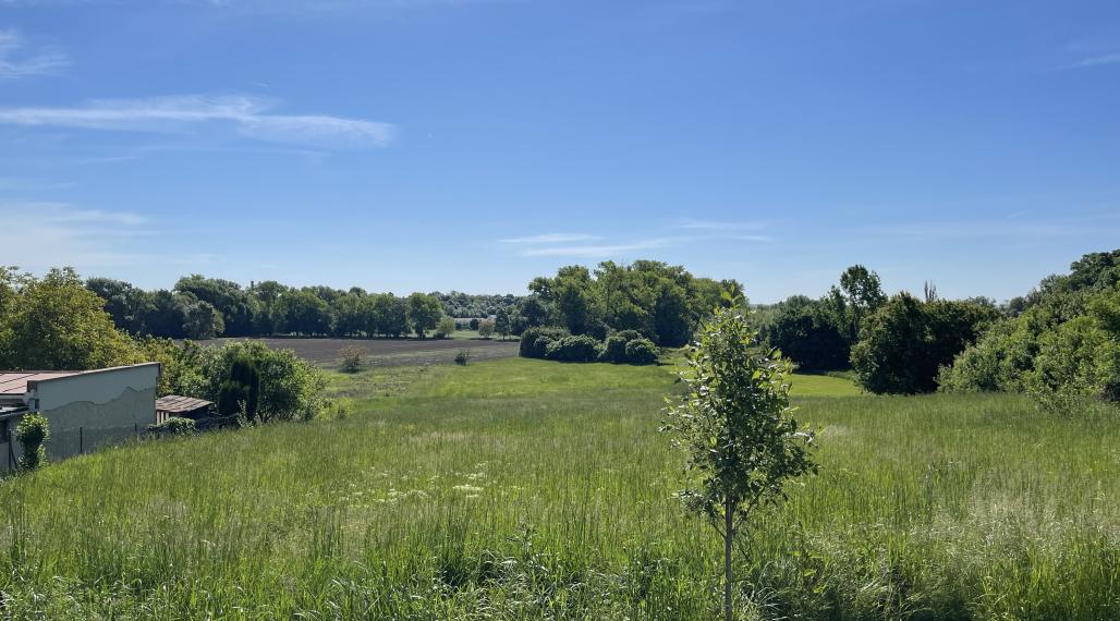 Investičný pozemok v Beladiciach