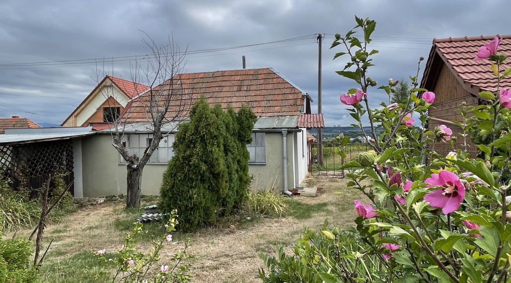 Rezervované Vinica s chatkou - Vráble v časti Horný Dúšnik - dohoda na cene možná