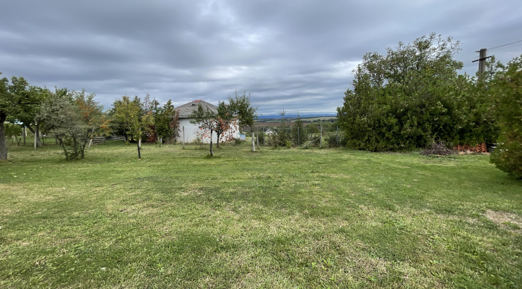 Vinica s chatkou - Vráble v časti Horný Dúšnik - dohoda na cene možná