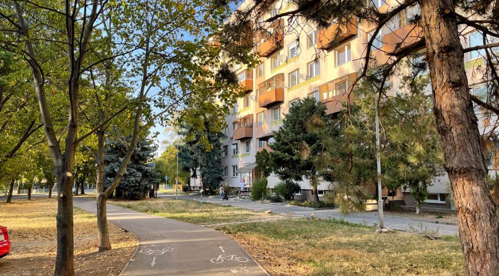 1 izbovy byt na predaj