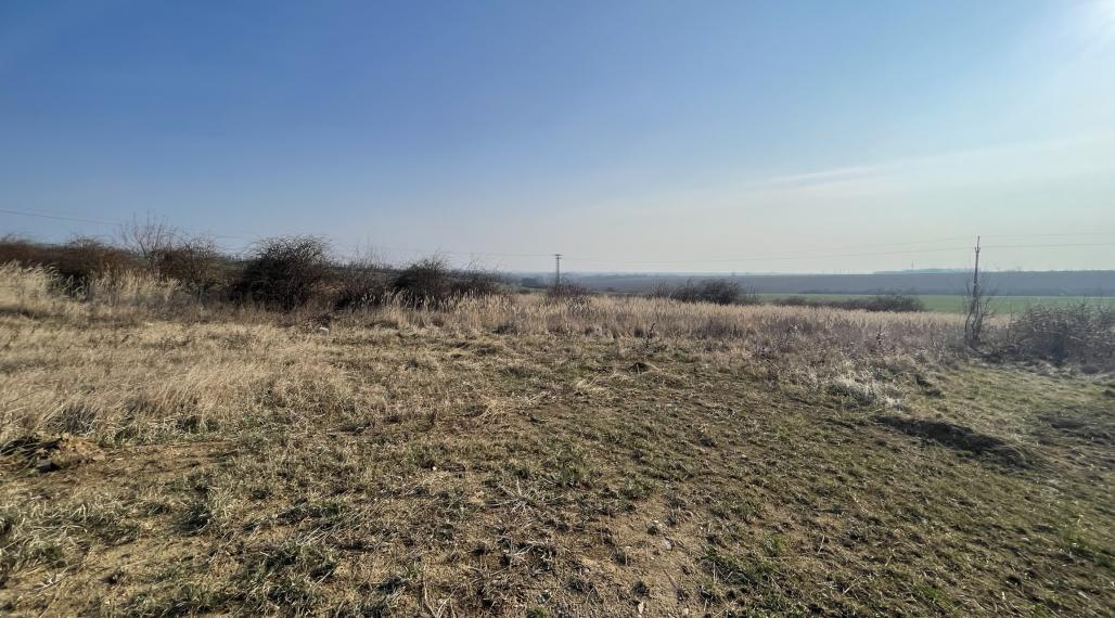 Na predaj orná pôda 3706 m2