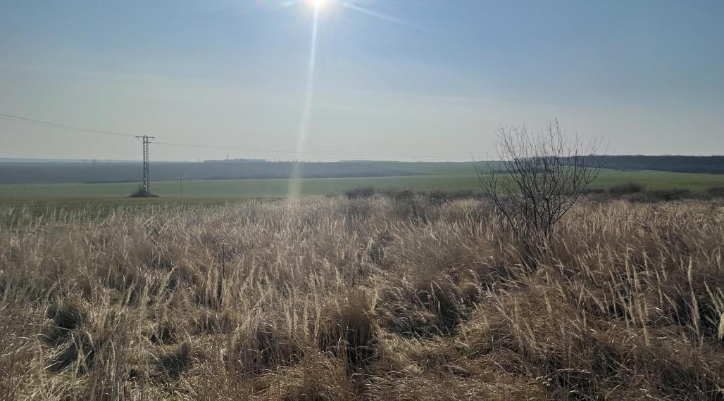 Na predaj orná pôda 3706 m2