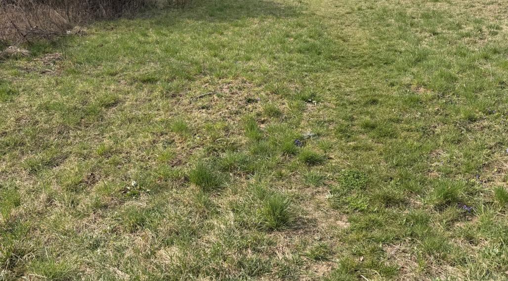 Ponúkame na predaj stavebný pozemok v obci Štitáre