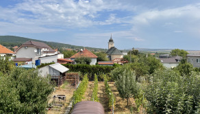 Výhľad z okna do záhrady