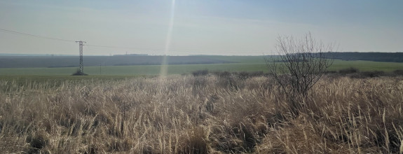 Na predaj orná pôda 3706 m2