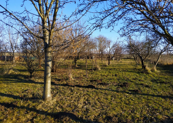 Klasický priestranný rodinný dom - Rastislavice