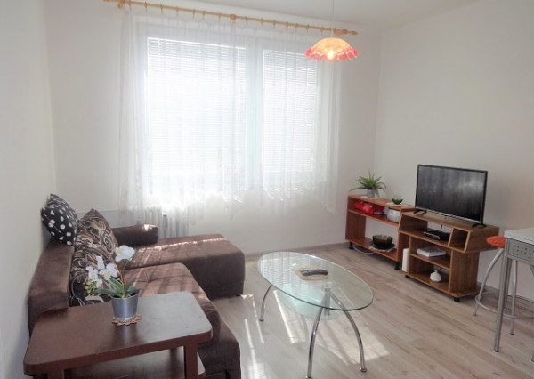 Na prenájom pekný, zariadený 1-izbový byt - M.R. Štefánika, Levice