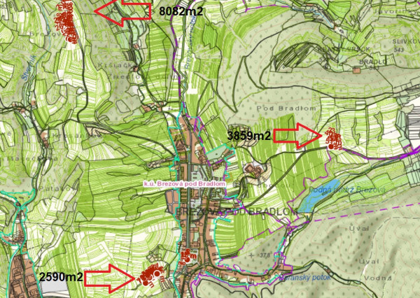 Pozemky - OP - 38,5a, 81a, 26a - Brezová pod Bradlom