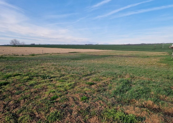Na predaj INVESTIČNÉ stavebné pozemky v Golianove