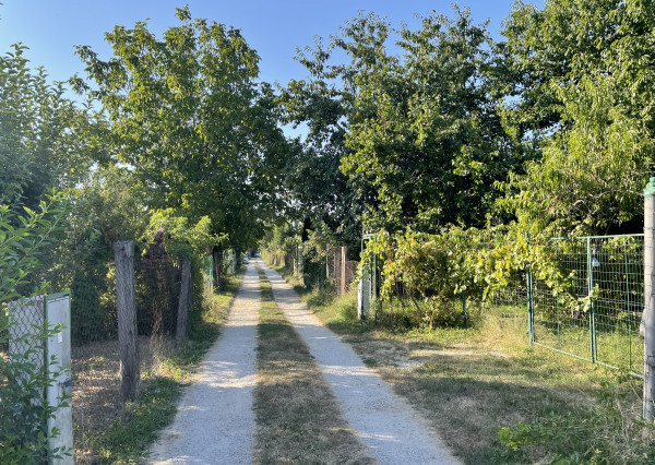 Záhrada v Nitre - v záhradkárskej oblasti