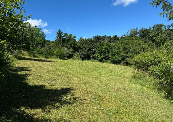 Pekný  pozemok pri lese 1609 m2 - Nitra