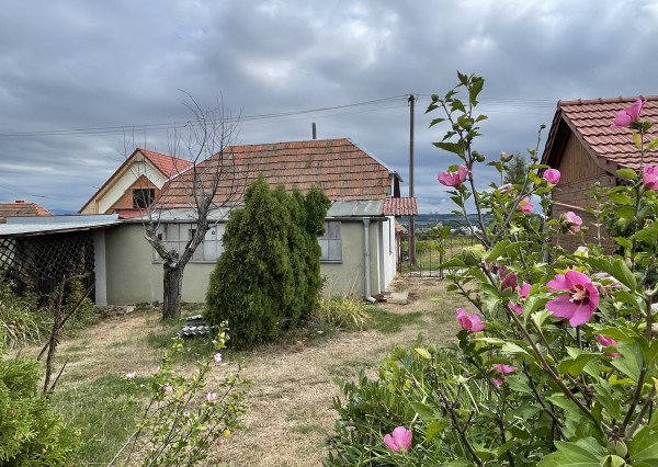 Vinica s chatkou - Vráble v časti Horný Dúšnik - dohoda na cene možná