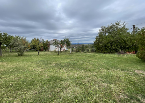 Vinica s chatkou - Vráble v časti Horný Dúšnik - dohoda na cene možná