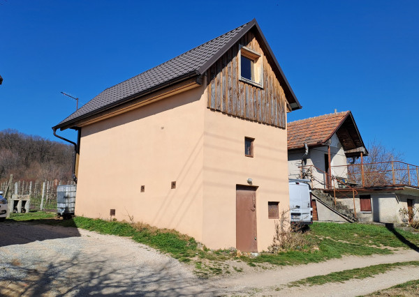 Vinica s viničnou chatkou v obci Jelenec, okres Nitra