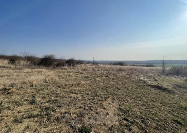 Na predaj orná pôda 3706 m2