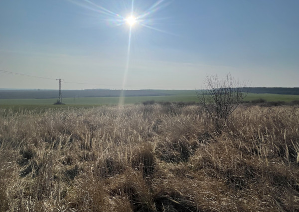 Na predaj orná pôda 3706 m2